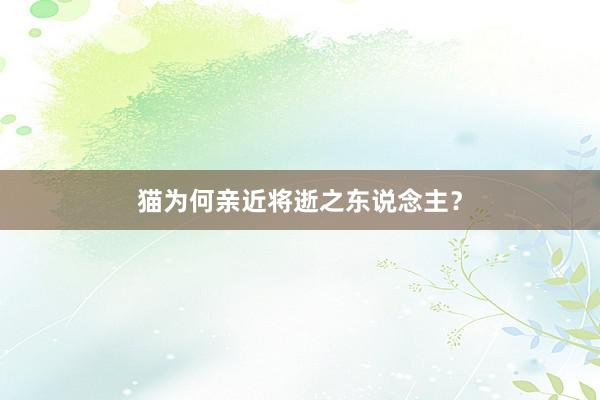 猫为何亲近将逝之东说念主？